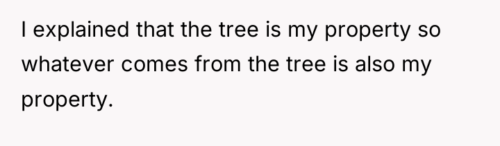 I explained that the tree is my property so whatever...