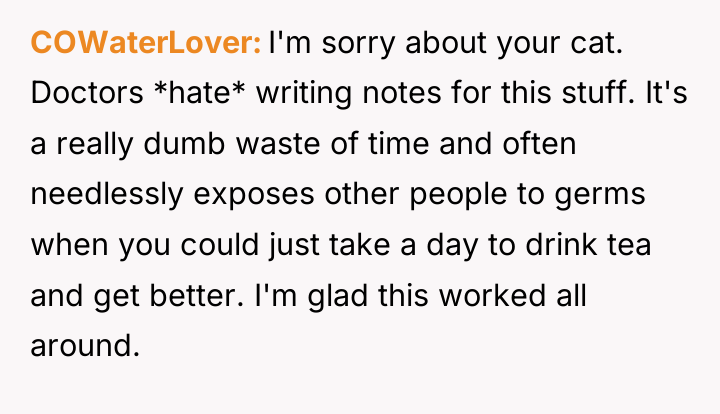 COWaterLover I'm sorry about your cat. Doctors *hate* writing notes...