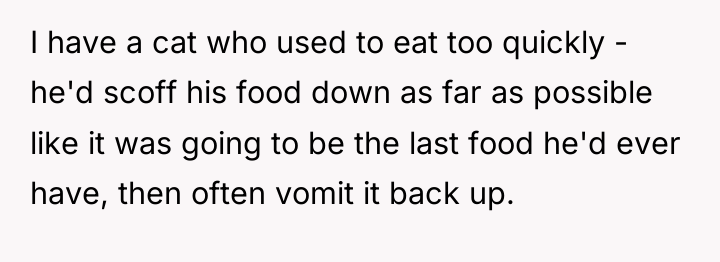 I have a cat who used to eat too quickly...