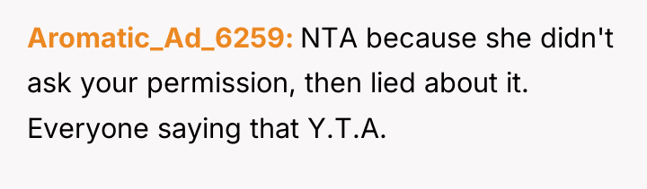 Aromatic_Ad_6259 NTA because she didn't ask your permission, then lied...