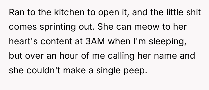 Ran to the kitchen to open it, and the little...