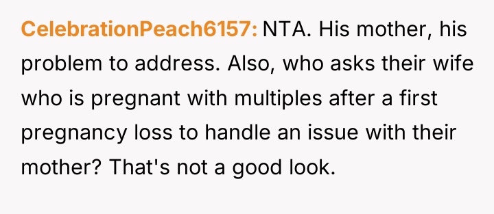 CelebrationPeach6157 NTA. His mother, his problem to address. Also, who...