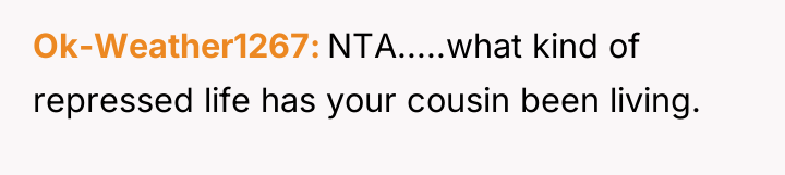 Ok-Weather1267 NTA.....what kind of repressed life has your cousin been...