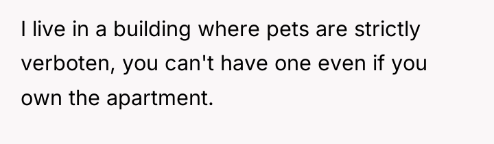 I live in a building where pets are strictly verboten,...