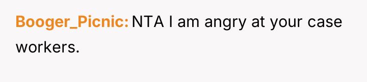 Booger_Picnic NTA I am angry at your case workers.