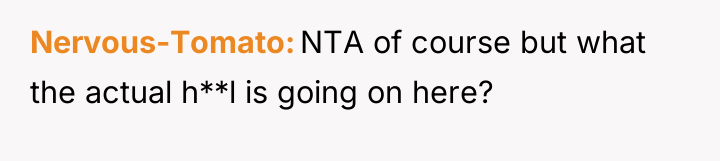 Nervous-Tomato NTA of course but what the actual h**l is...