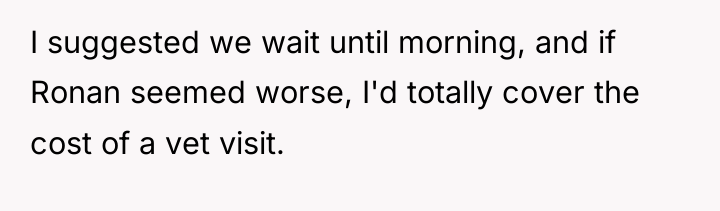 I suggested we wait until morning, and if Ronan seemed...