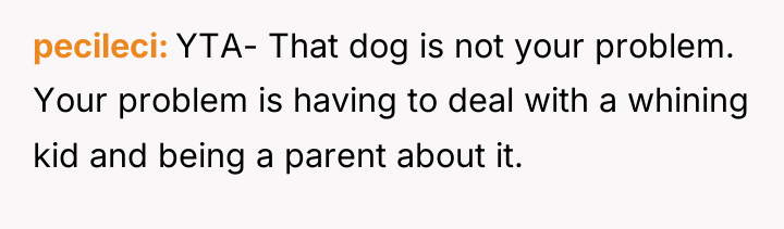 pecileci YTA- That dog is not your problem. Your problem...