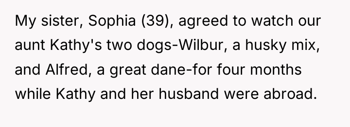 My sister, Sophia (39), agreed to watch our aunt Kathy's...