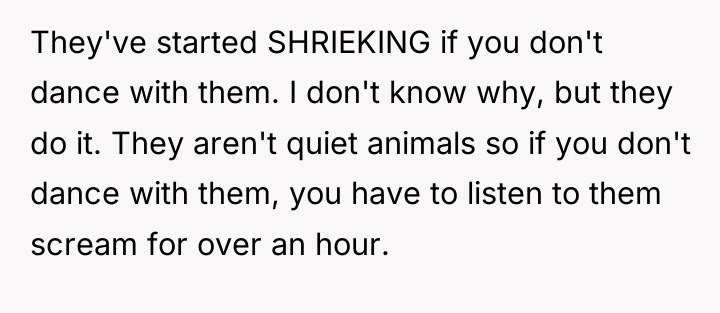 They've started SHRIEKING if you don't dance with them. I...