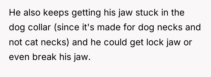 He also keeps getting his jaw stuck in the dog...