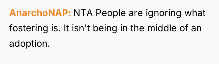 AnarchoNAP NTA People are ignoring what fostering is. It isn't...