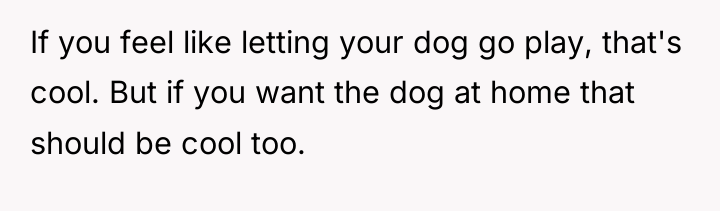 If you feel like letting your dog go play, that's...