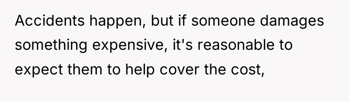 Accidents happen, but if someone damages something expensive, it's reasonable...