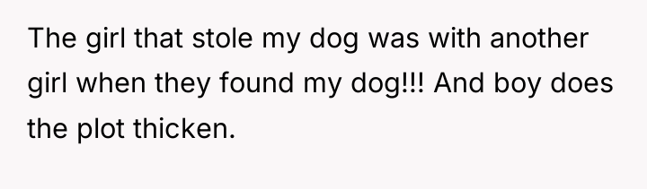The girl that stole my dog was with another girl...