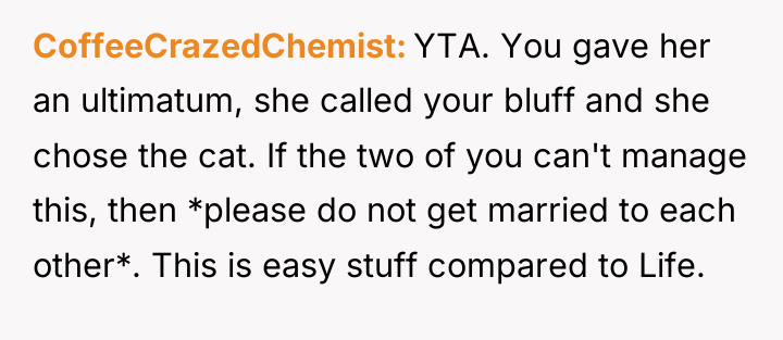 CoffeeCrazedChemist YTA. You gave her an ultimatum, she called your...