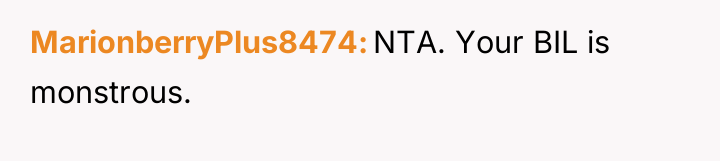 MarionberryPlus8474 NTA. Your BIL is monstrous.