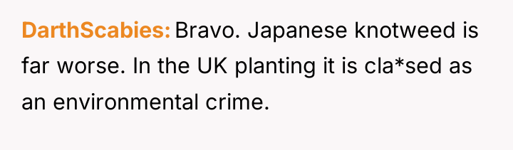 DarthScabies Bravo. Japanese knotweed is far worse. In the UK...