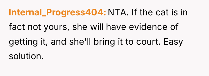 Internal_Progress404 NTA. If the cat is in fact not yours,...