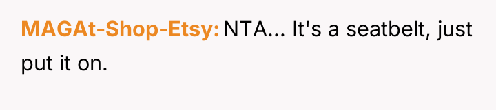 MAGAt-Shop-Etsy NTA... It's a seatbelt, just put it on.