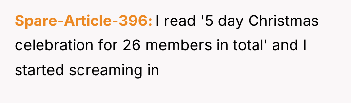 Spare-Article-396 I read '5 day Christmas celebration for 26 members...