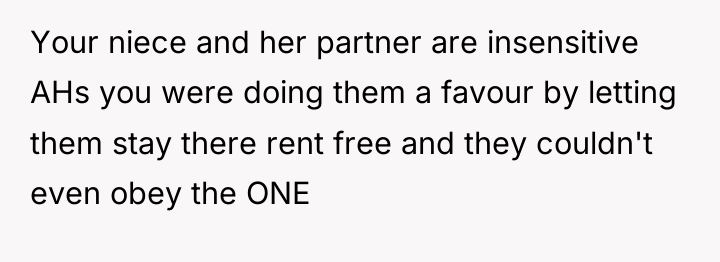 Your niece and her partner are insensitive AHs you were...