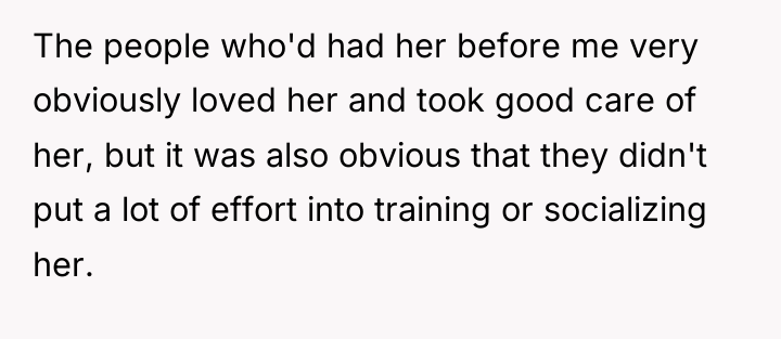 The people who'd had her before me very obviously loved...