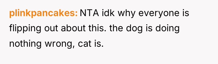 plinkpancakes NTA idk why everyone is flipping out about this....