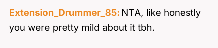 Extension_Drummer_85 NTA, like honestly you were pretty mild about it...