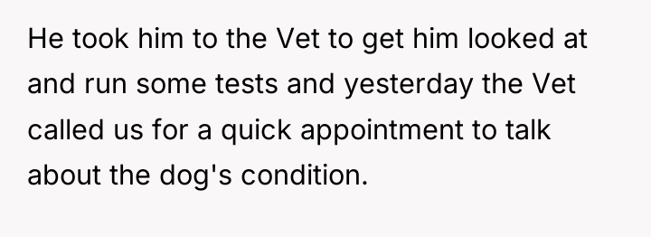 He took him to the Vet to get him looked...