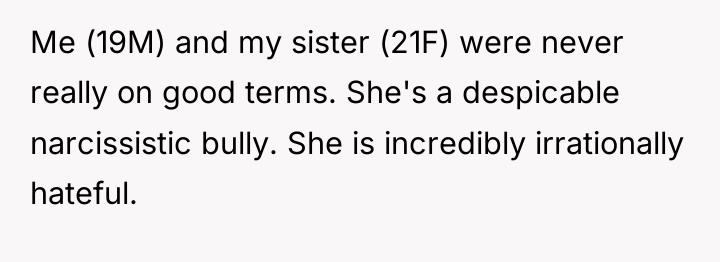 Me (19M) and my sister (21F) were never really on...