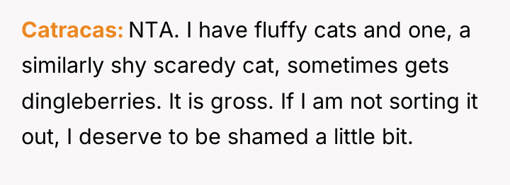 Catracas NTA. I have fluffy cats and one, a similarly...