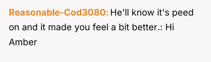 Reasonable-Cod3080 He'll know it's peed on and it made you...