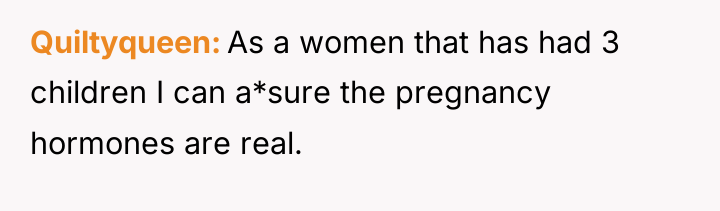Quiltyqueen As a women that has had 3 children I...