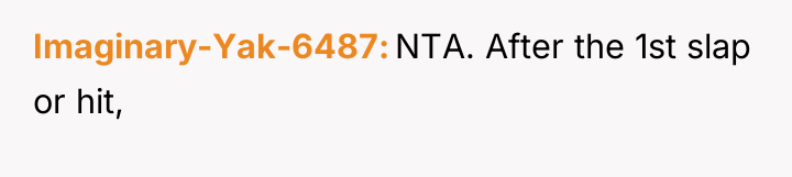 Imaginary-Yak-6487 NTA. After the 1st slap or hit,