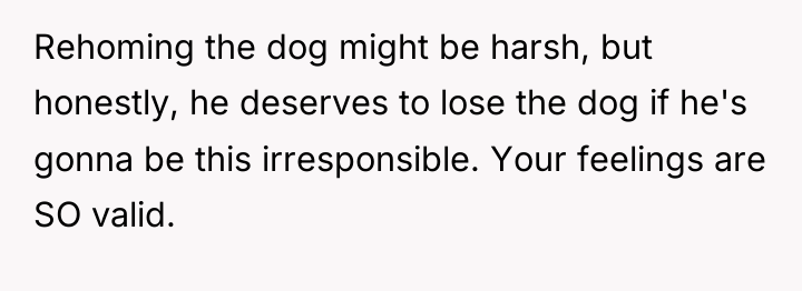 Rehoming the dog might be harsh, but honestly, he deserves...