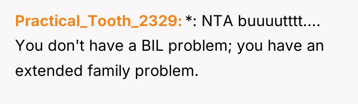Practical_Tooth_2329 *: NTA buuuutttt.... You don't have a BIL problem;...