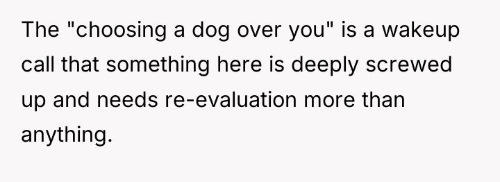 The "choosing a dog over you" is a wakeup call...