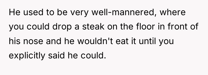 He used to be very well-mannered, where you could drop...