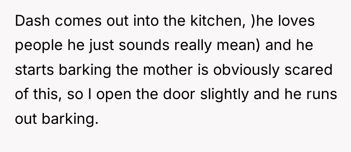 Dash comes out into the kitchen, )he loves people he...