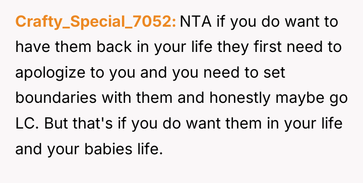 Crafty_Special_7052 NTA if you do want to have them back...