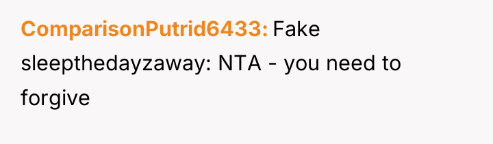 ComparisonPutrid6433 Fake sleepthedayzaway: NTA - you need to forgive