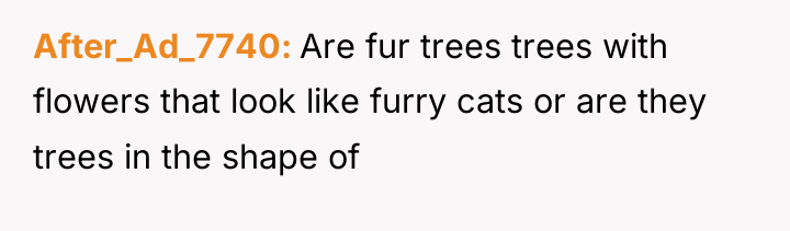 After_Ad_7740 Are fur trees trees with flowers that look like...