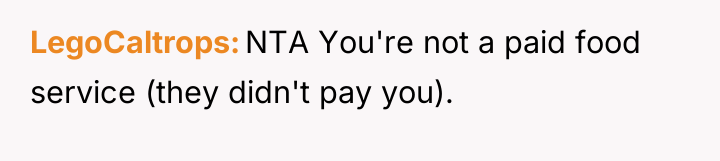 LegoCaltrops NTA You're not a paid food service (they didn't...