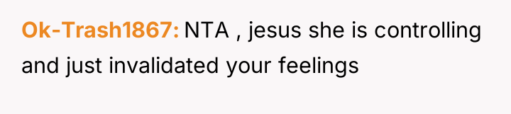 Ok-Trash1867 NTA , jesus she is controlling and just invalidated...