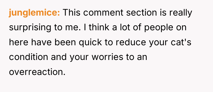 junglemice This comment section is really surprising to me. I...
