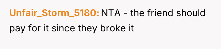Unfair_Storm_5180 NTA - the friend should pay for it since...