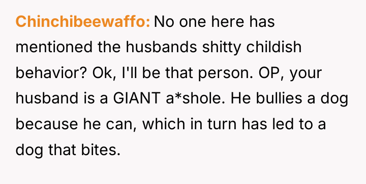 Chinchibeewaffo No one here has mentioned the husbands shitty childish...