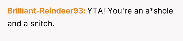 Brilliant-Reindeer93 YTA! You're an a*shole and a snitch.