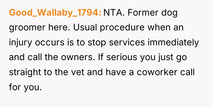Good_Wallaby_1794 NTA. Former dog groomer here. Usual procedure when an...